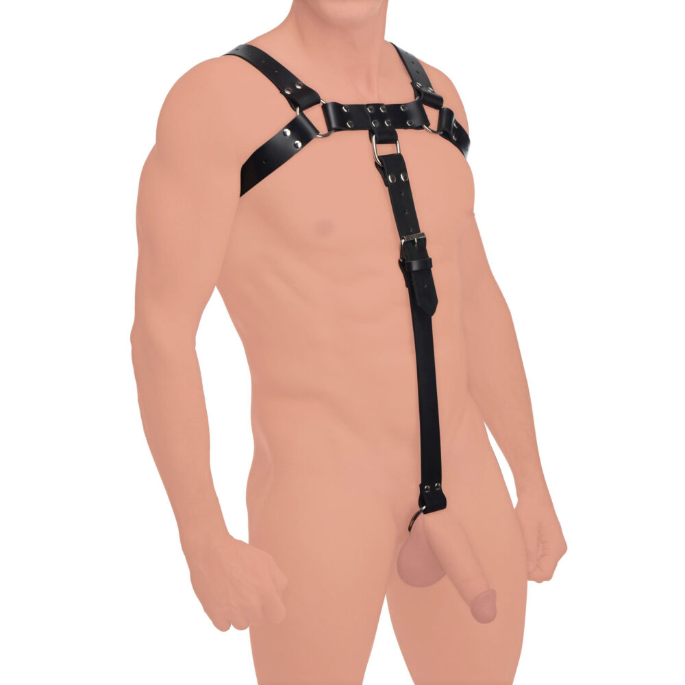 English Bull Dog Harness with Cock Strap